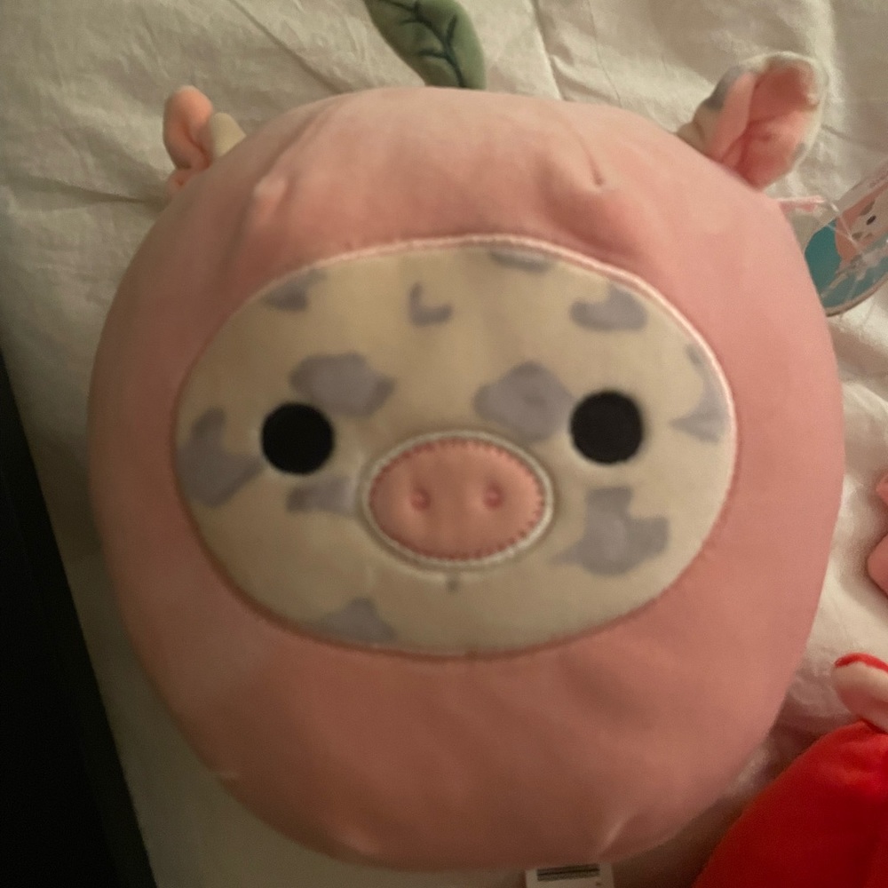 Rosie the pig